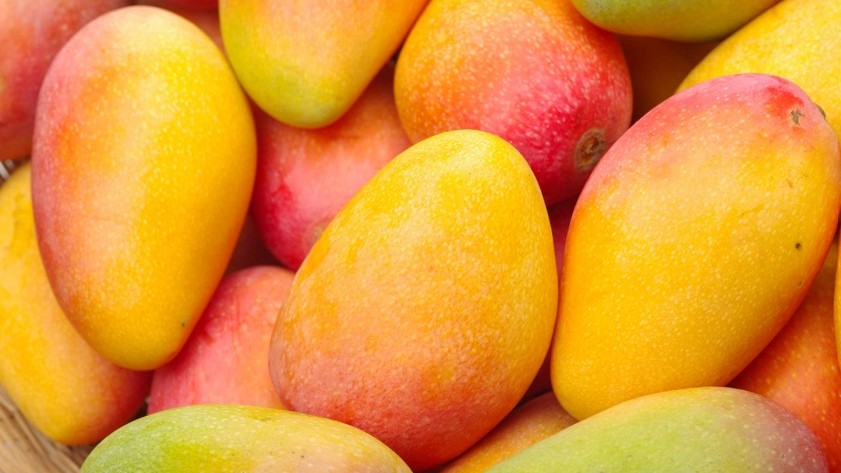 bea 15 mango.jpg
